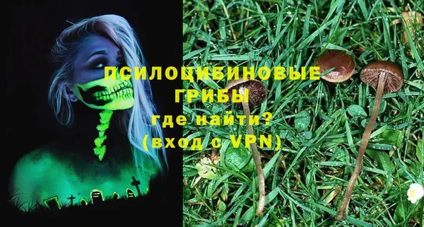 ГАЛЛЮЦИНОГЕННЫЕ ГРИБЫ Наволоки