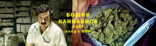 ГАЛЛЮЦИНОГЕННЫЕ ГРИБЫ Наволоки