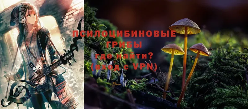 Галлюциногенные грибы MAGIC MUSHROOMS  Мурманск 