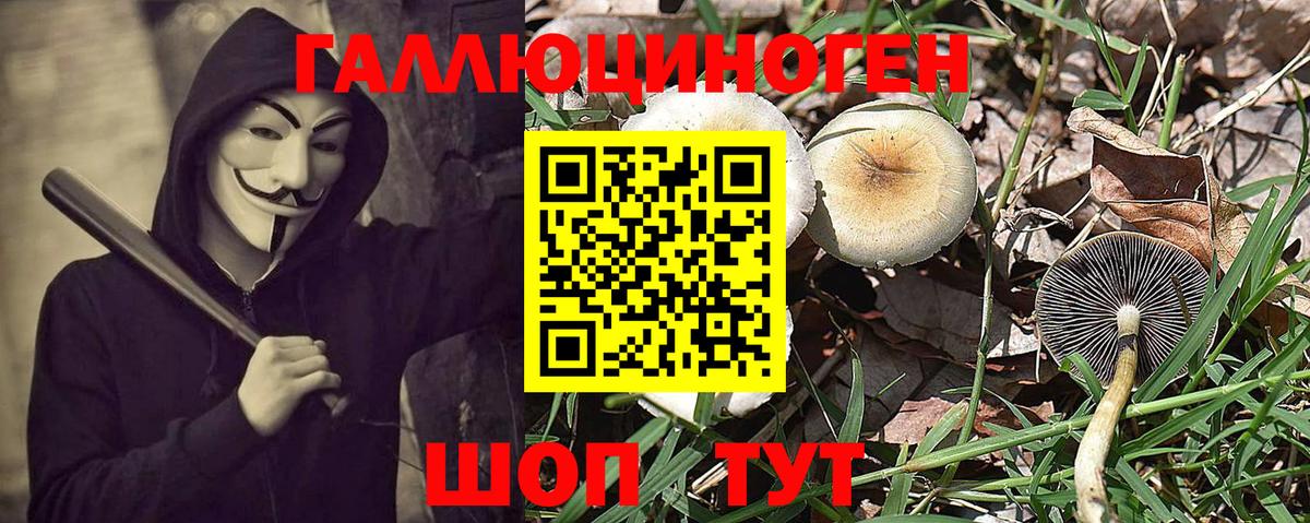 Псилоцибиновые грибы Cubensis Мурманск