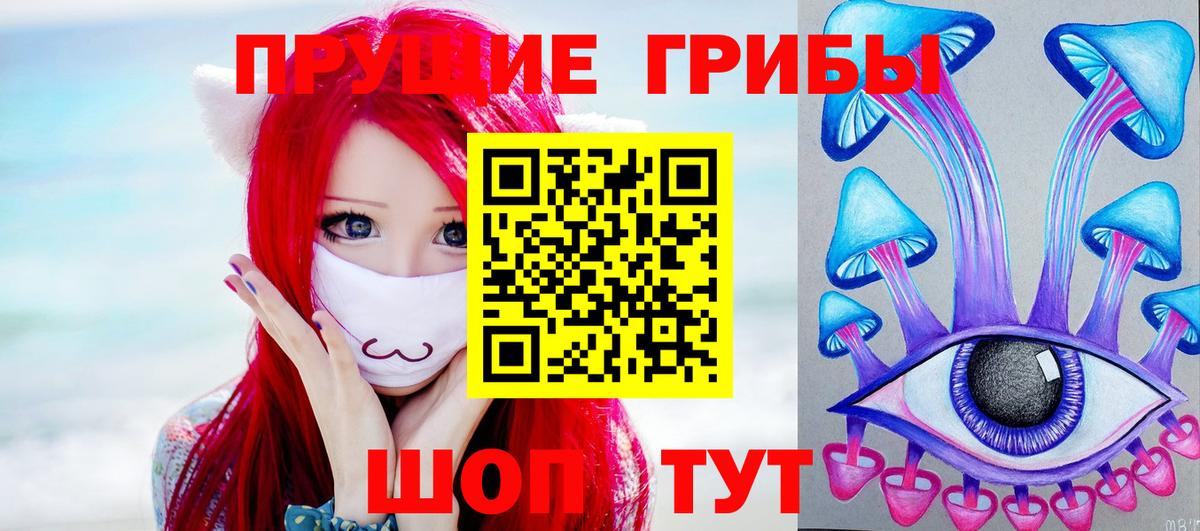 Псилоцибиновые грибы Psilocybe  Мурманск 