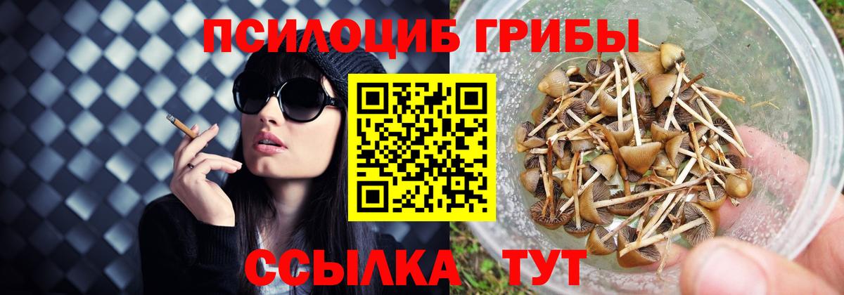 Псилоцибиновые грибы Cubensis  Псилоцибиновые грибы Magic Shrooms  Вход с VPN  Мурманск 